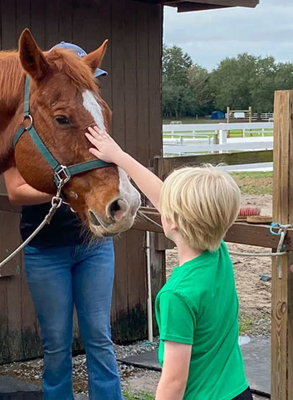 Youth pet horse at Camp Cristina YMCA.