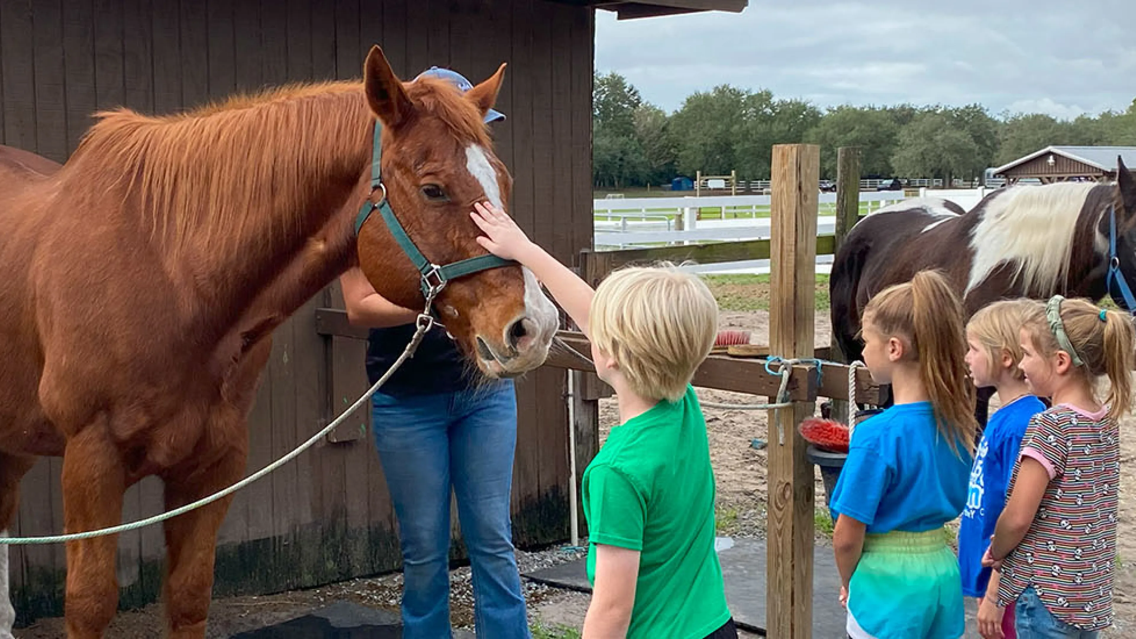 Youth pet horse at Camp Cristina YMCA.